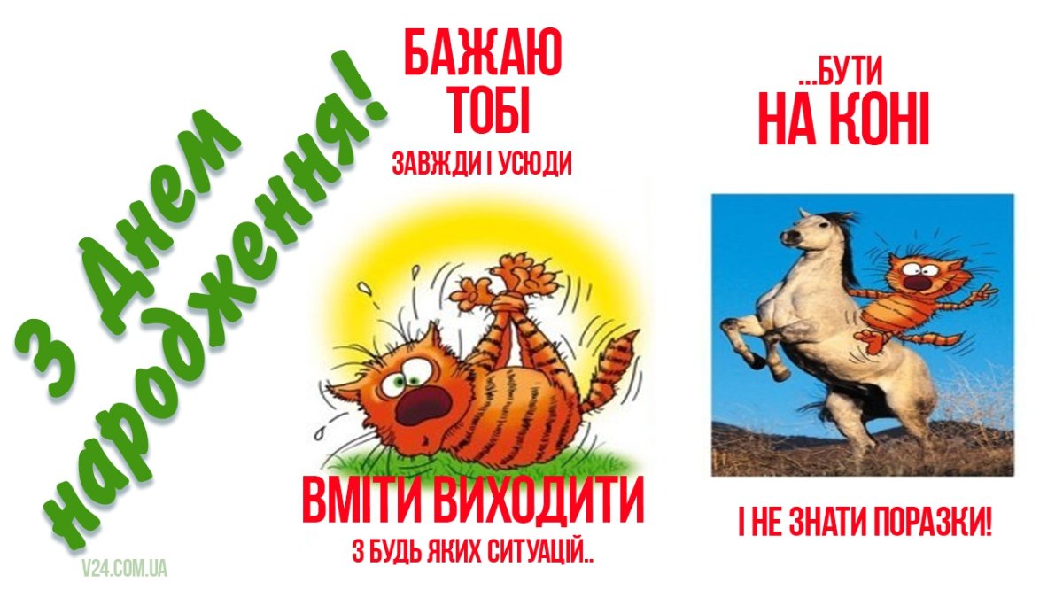 Смешные поздравления с днем рождения - шутки и тосты