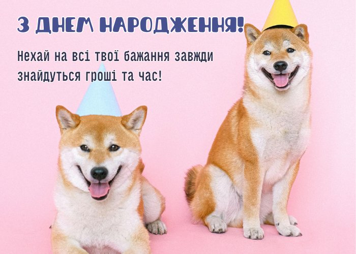 Смешные поздравления с днем рождения - шутки и тосты