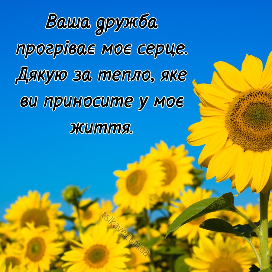 Подяка другу за допомогу — від серця і своїми словами
